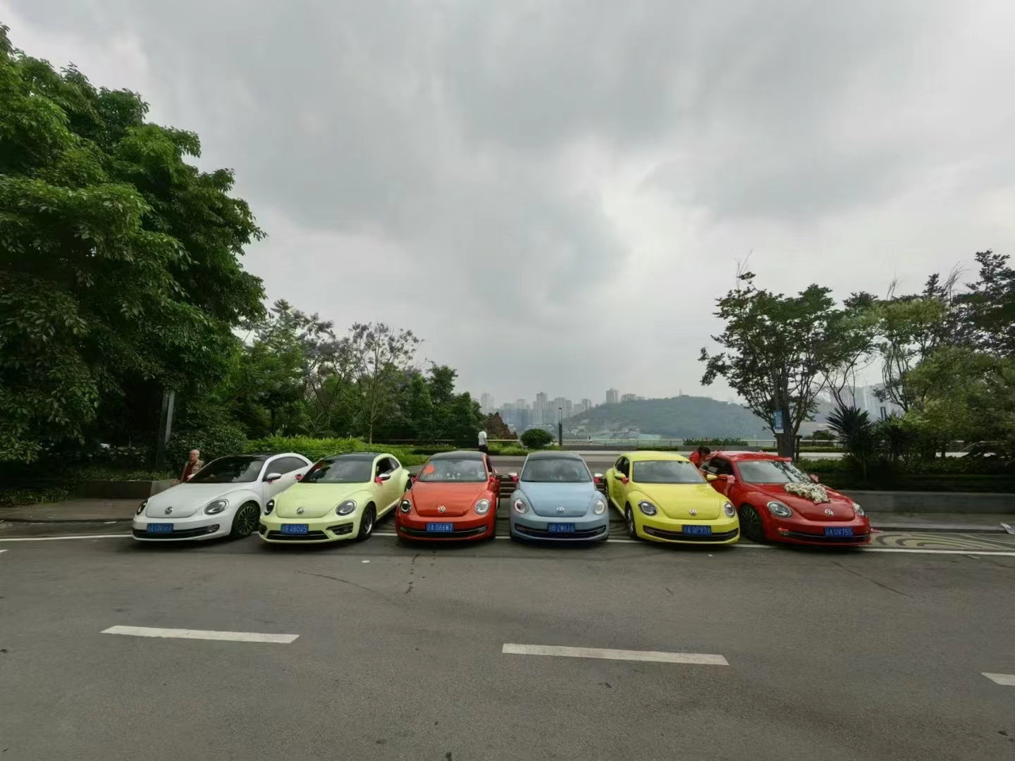 甲殼蟲彩虹車隊